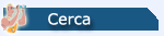 Cerca nel sito