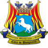 logo Sbandieratori e Musici Citt di Bisignano