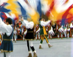 QUERCETA,